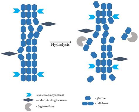 restobar 4 crack|Lignocellulosic biomass.